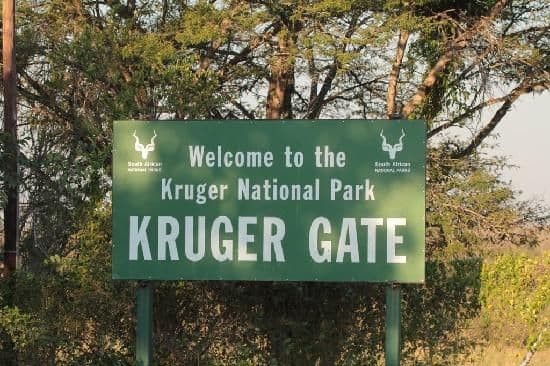 A preview image of the Kruger National Park tour.