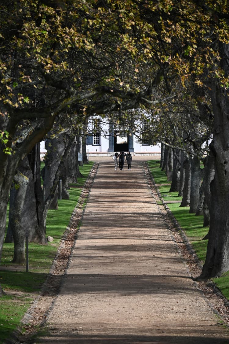 A preview image of the Giraffe + Wine Estates tour.