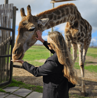 A family watching the sunset over the ocean.